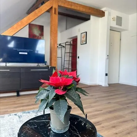 Cozy Salzbourg