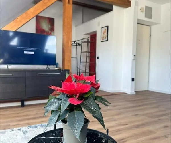 Cozy Salzburg